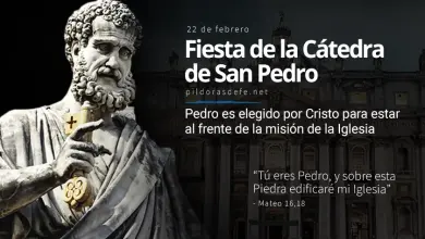 Evangelio De Hoy Jueves 22 Febrero 2024 Lecturas De Hoy   Catedra De San Pedro Tu Eres Pedro Y Sobre Esta Piedra Edificare Mi Iglesia.webp