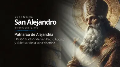 San Alejandro de Alejandría, Obispo: Biografía y vida