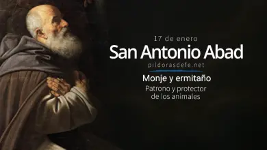 San Antonio Abad: Monje y protector de los animales domésticos