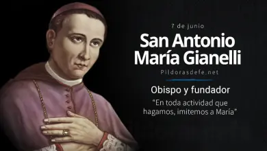 San Antonio María Gianelli, Obispo y fundador: Devoto de María