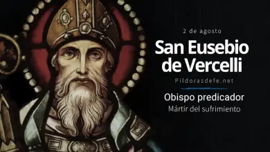 San Eusebio de Vercell, Obispo y predicador: Defensor de la fe