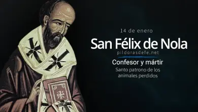 San Félix de Nola. Confesor: Patrono de los Animales perdidos