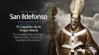 San Ildefonso de Toledo, Monje y Obispo que es llamado el Capellán y notario de María