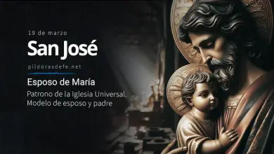 San José Custodio, Esposo de María: Patrono de la Iglesia