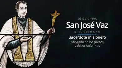 San José Vaz: Abogado de los presos y de los enfermos