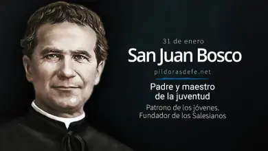 Don Bosco. Santo patrono de los jóvenes. Biografía, vida y obras