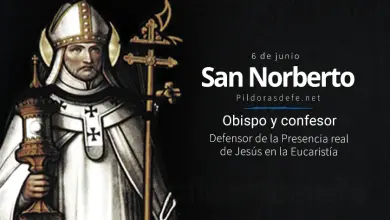 San Norberto, Arzobispo de Magdeburgo: Fundador y Confesor