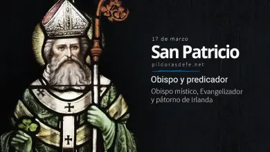 San Patricio, Obispo y predicador: Patrono de Irlanda