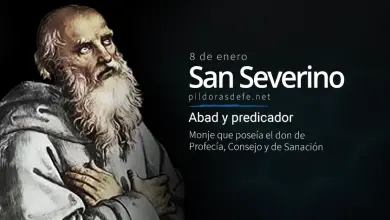 San Severino, Abad y Predicador: El monje que se negó a ser obispo