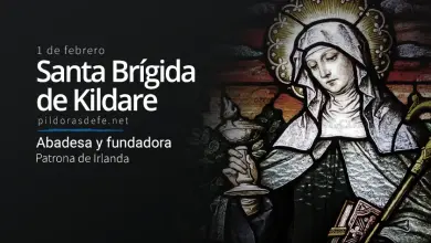 Santa Brígida de Kildare, Monja y Abadesa: Patrona de Irlanda