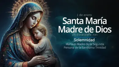 Santa María, Madre de Dios, Solemnidad