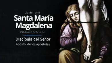 Santa María Magdalena: Apóstol de los Apóstoles y discípula del Señor