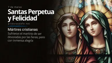 Santas Perpetua, Felicidad y Compañeros Mártires Cristianos