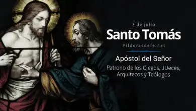 Fiesta de Santo Tomás, Apóstol del Señor: Biografía y vida