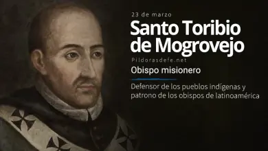 Santo Toribio de Mogrovejo. Protector de los indígenas. Biografía