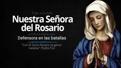 Nuestra Señora la Virgen del Rosario: Defensora en las Batallas