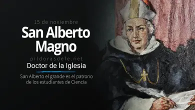 San Alberto Magno, Doctor de la Iglesia: Patrono de las Ciencias