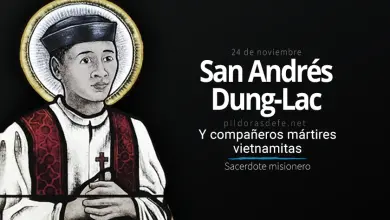 San Andrés Dung-Lac, Sacerdote y compañeros mártires de Vietnam