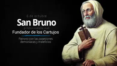 San Bruno: Monje fundador de la Orden de los Cartujos