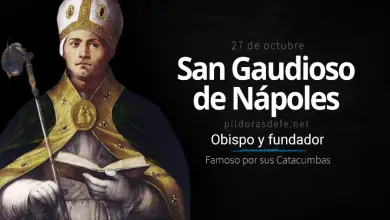 San Gaudioso de Nápoles, Monje y Obispo: Biografía y vida