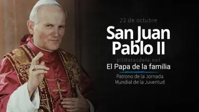 San Juan Pablo II, Biografía, Vida, Obra y Santidad: El Papa peregrino