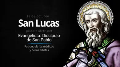 Fiesta de San Lucas Evangelista: Patrono de los Médicos y Cirujanos