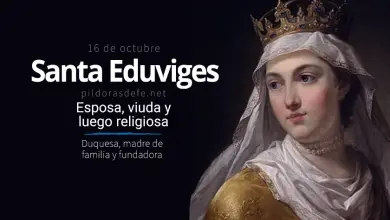 Santa Eduviges: Esposa, viuda y religiosa, Madre de familia y fundadora