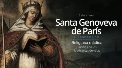 Santa Genoveva de París. Virgen. Biografía y obras