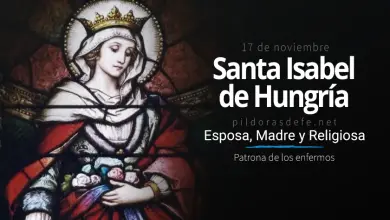 Santa Isabel de Hungría, Princesa: Patrona de los Enfermos