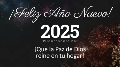 feliz ano nuevo  adios ano viejo propositos