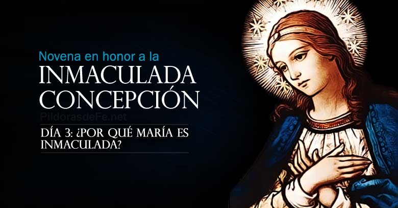 novena a la inmaculada concepcion de maria dia  por que es inmaculada