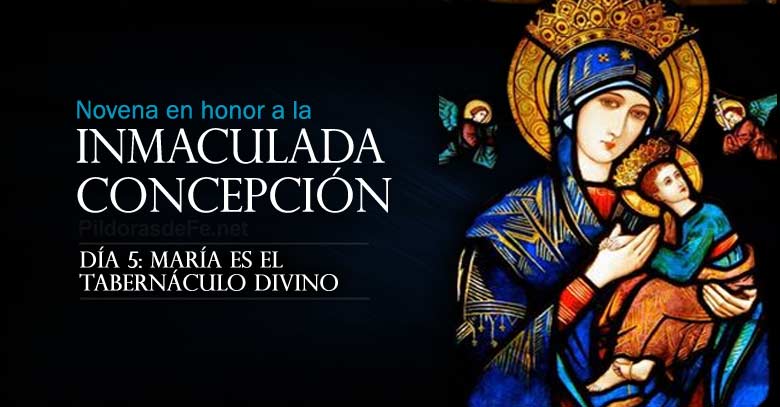 novena a la inmaculada concepcion de maria dia  es tabernaculo divino