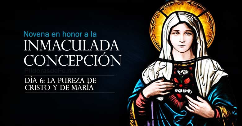 novena a la inmaculada concepcion de maria dia  pureza de cristo y de maria