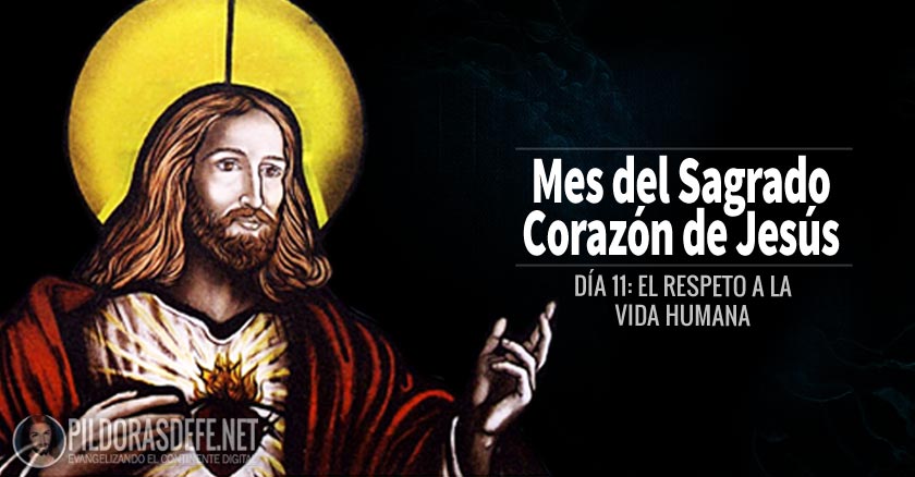 sagrado corazon de jesus dia  el desprecio a la vida humana